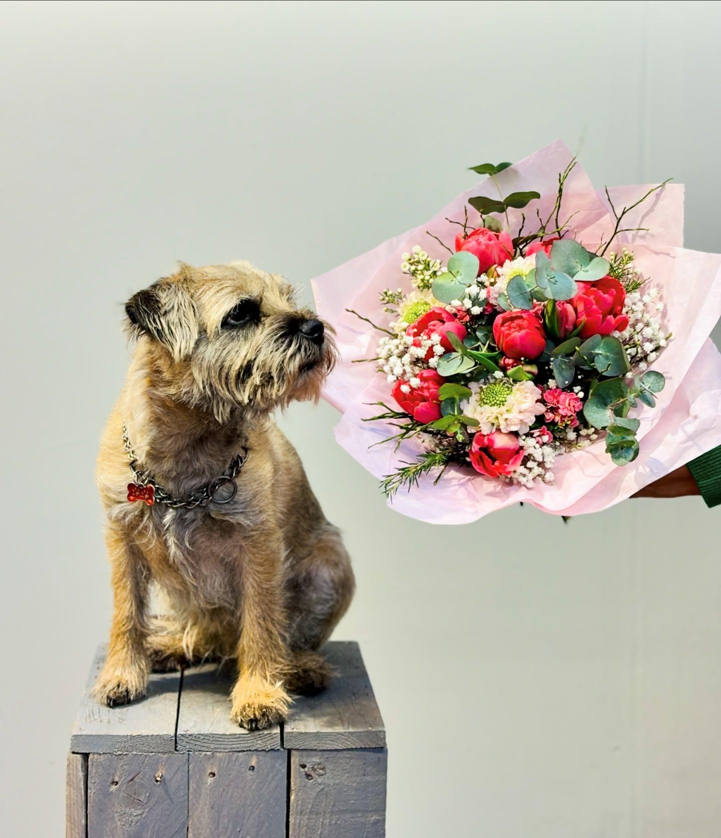 Mit Blumen und Hund